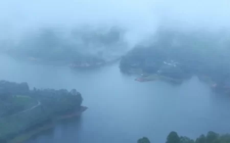 इस बार जल्दी पहुंचा मानसून, केरल में समय से पहले दस्तक