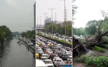 दिल्ली में तेज आंधी और मूसलधार बारिश से जनजीवन अस्त-व्यस्त