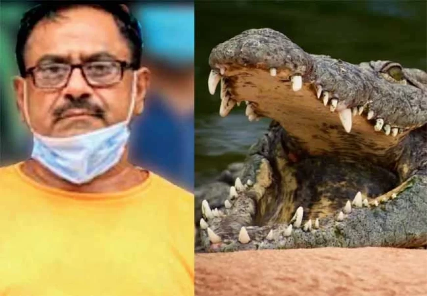 'डॉक्टर डेथ' देवेंद्र शर्मा गिरफ्तार: 50 हत्याएं कर पुजारी बना सीरियल किलर