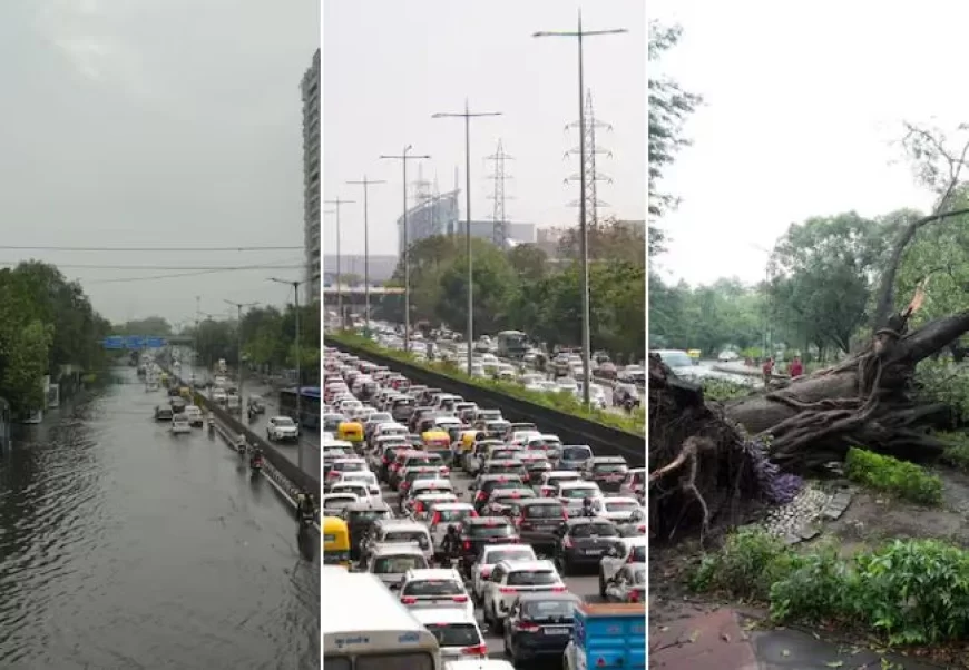 दिल्ली में तेज आंधी और मूसलधार बारिश से जनजीवन अस्त-व्यस्त