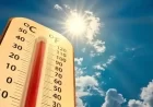उत्तर प्रदेश में गर्मी का कहर: झांसी-आगरा में 45 डिग्री पार, 14 जिलों में लू का अलर्ट