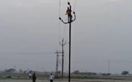 भरथना की बिजली व्यवस्था खतरे में!