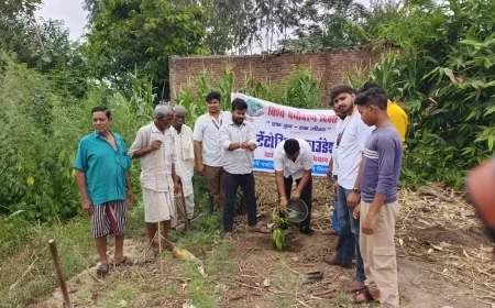 हर सदस्य बना एक हरित अभिभावक: स्टेंटोरियन फाउंडेशन का अनूठा पर्यावरणीय संकल्प