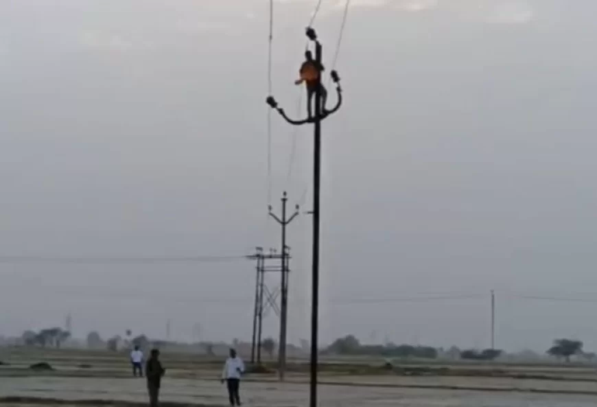 भरथना की बिजली व्यवस्था खतरे में!