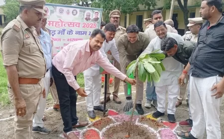 मोढी में वृक्ष भंडारा से गूंजा पर्यावरण संदेश