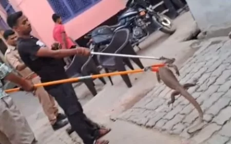 वन विभाग की बहादुरी: घर से पकड़ा, जंगल में किया रिहा