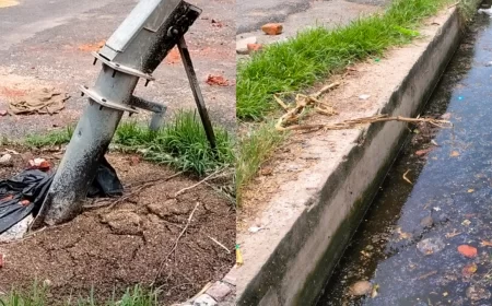 अव्यवस्थाओं से जूझ रही भरथना मंडी, किसान परेशान | सचिव बोले– जल्द सुधार होगा