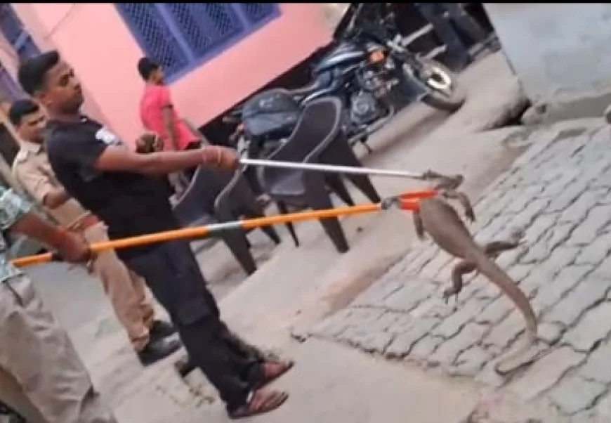 वन विभाग की बहादुरी: घर से पकड़ा, जंगल में किया रिहा